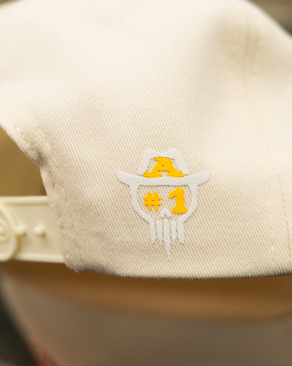 WORLD DESERT CHAMP CAP